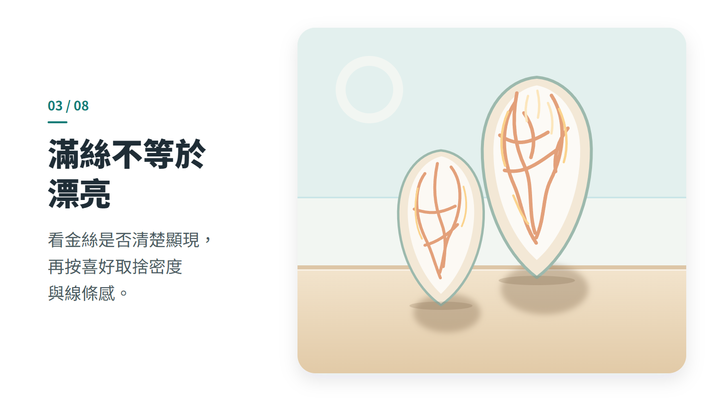 滿絲不等於 漂亮