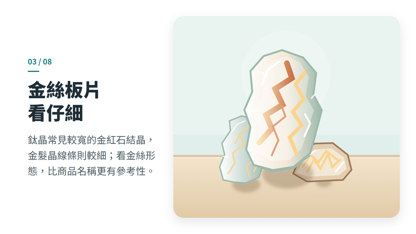 金絲板片 看仔細